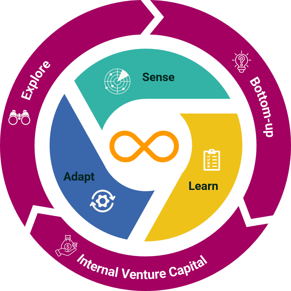The Infinity Model: Sense, Learn and Adapt inside a ring of Explore, Bottom-up and Internal Venture Capital